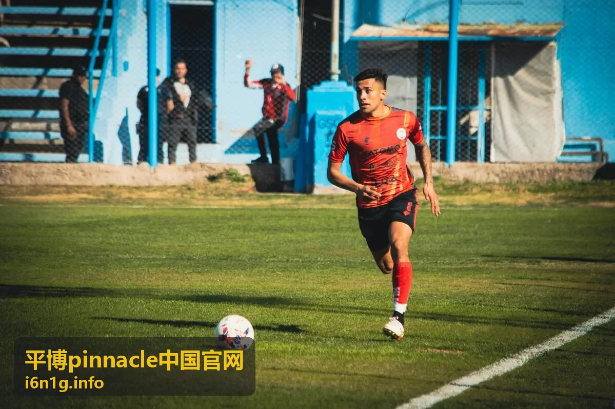 平博pinnacle平台功能亮点封面图